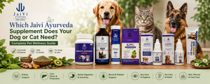 Which Jaivi Ayurveda Supplement Does Your Dog or Cat Need? Complete Pet Wellness Guide