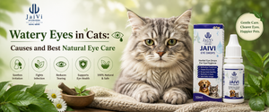 Watery Eyes in Cats: Causes and Best Natural Eye Care