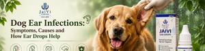 Dog Ear Infections: Symptoms, Causes and How Ear Drops Help