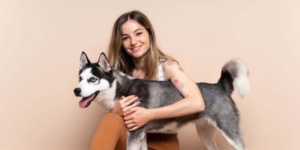 High Liver Enzymes in Dogs: What They Mean and What to Do Next