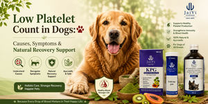 Low Platelet Count in Dogs: Causes, Symptoms & Natural Recovery Support